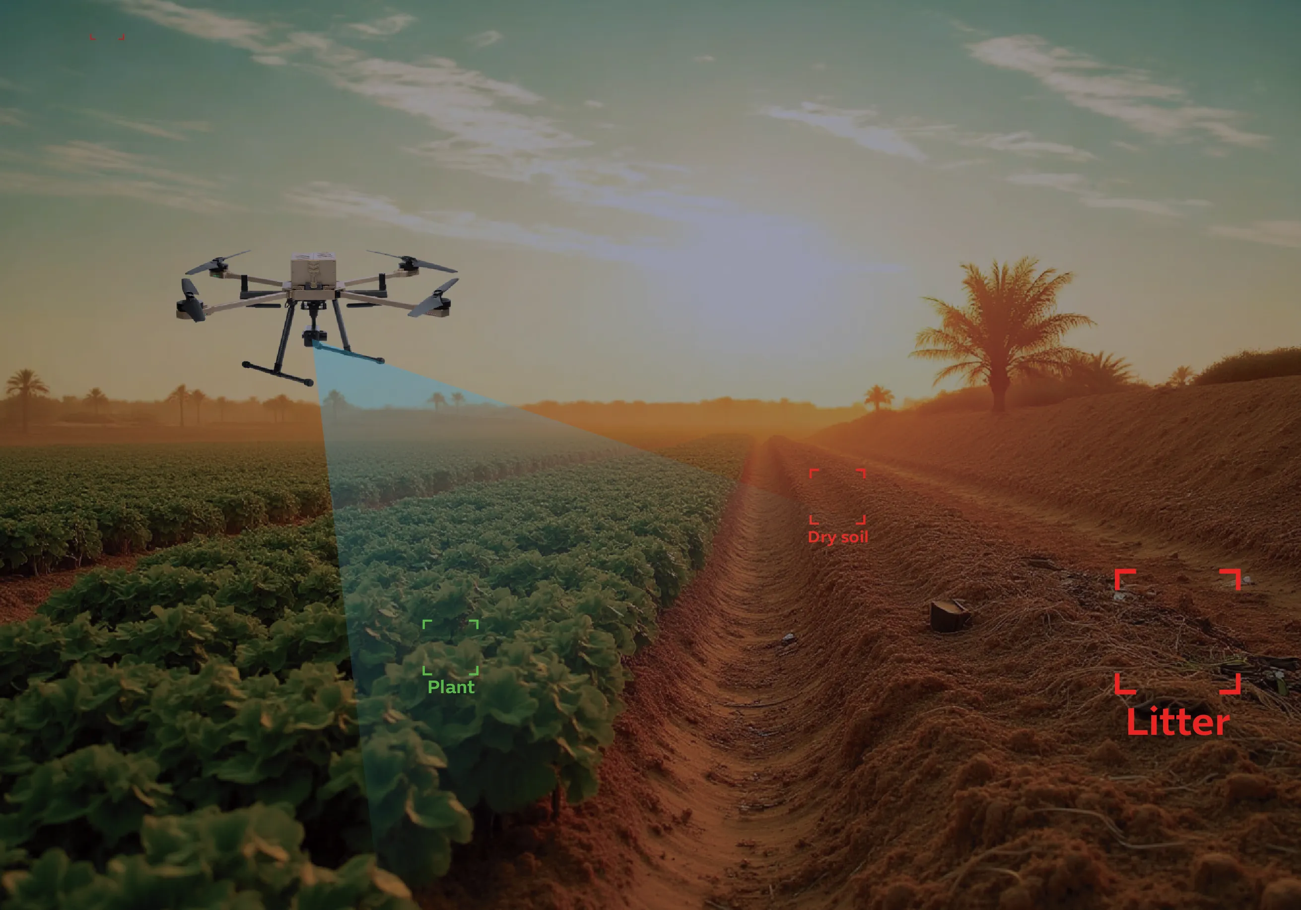 Environment, Water and Agriculture