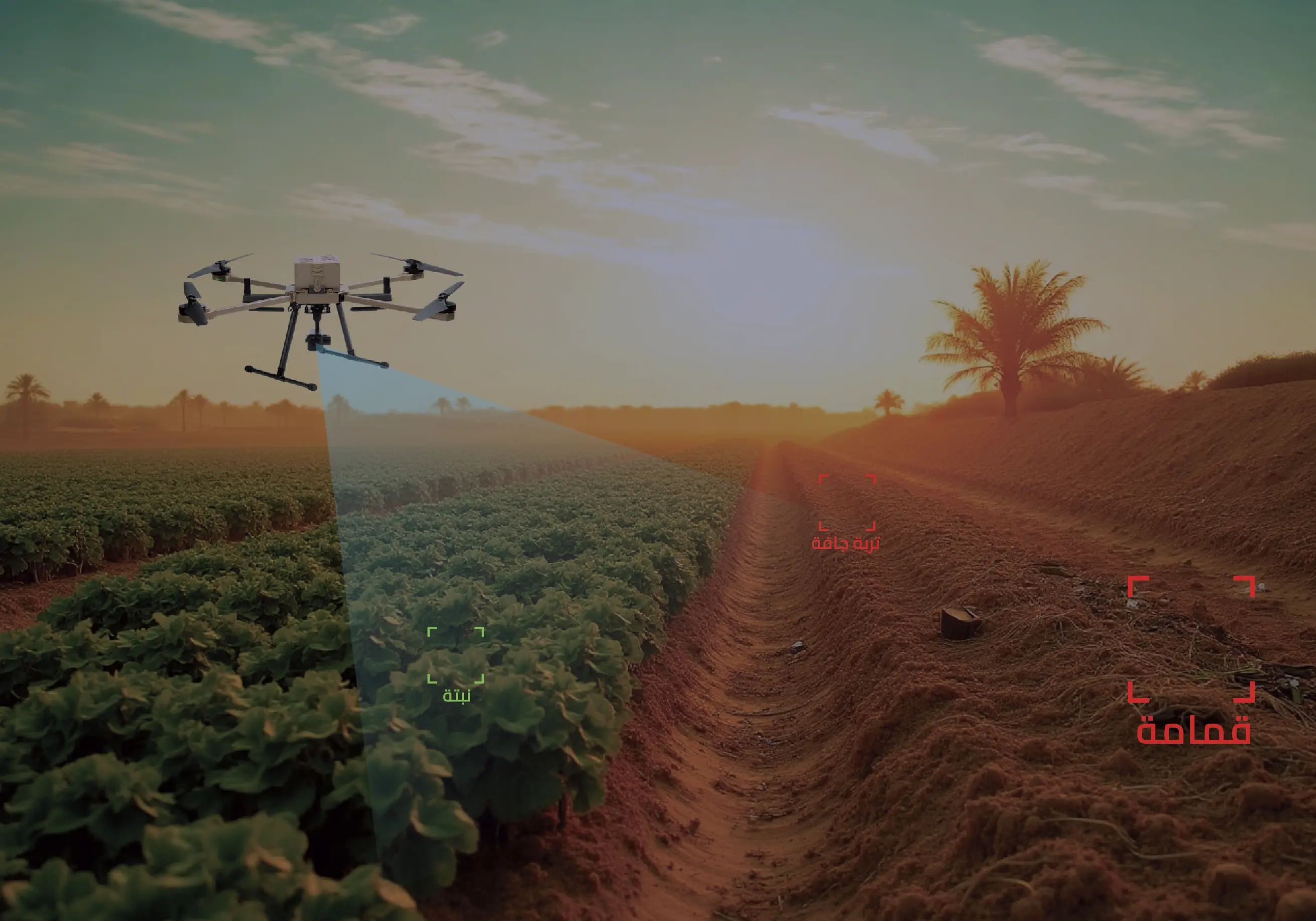 قطاع البيئة والمياه والزراعة